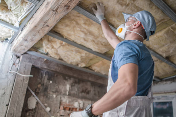 Best Insulation Materials and Products in Colwich, KS